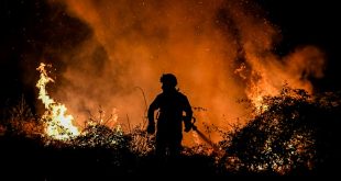 Forest fires rage in scorching southwest Europe