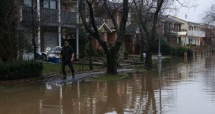 Thousands more evacuate in Sydney even though heavy rains ease