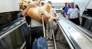 Millions hit the road, skies, for US Fourth of July holiday