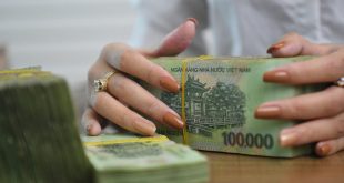 Vietnam business credit late payment rate higher than Asia average: survey