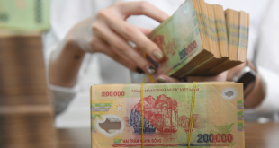 Vietnamese currency hits 2-year low against dollar