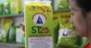 US fastest growing market for Vietnamese rice: ministry