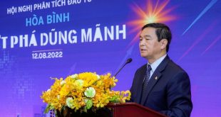 Foreign expansion 'the only option': Hoa Binh chairman