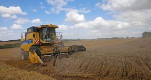 Driest July in memory imperils Europe's crops