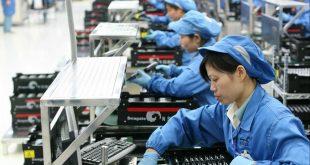 Vietnamese workers earn half of Thai counterparts in Japanese companies