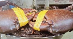 Crab exports skyrocket