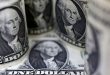 Dollar gains as investors brace for higher rates