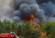 France battles 'monster' wildfire as heatwaves scorch Europe