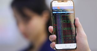 Stock trading plunges to 6-week low