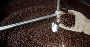 Asia Coffee-Vietnam market tepid ahead of new crop season, low supplies in Indonesia