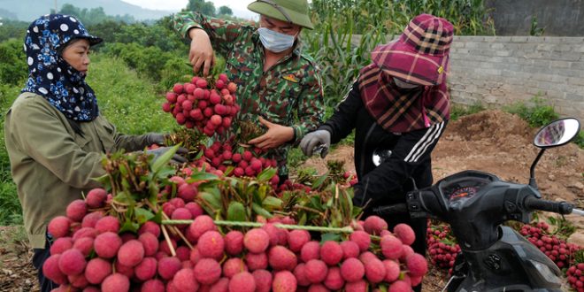 Vietnam to lead GDP growth among major Asia Pacific economies