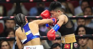 Vietnam boxing ace defeated in unified world championship fight