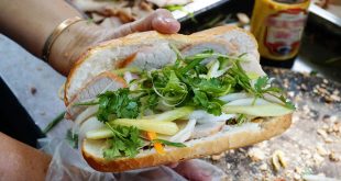 'Banh mi' among new words added to Merriam-Webster's dictionary