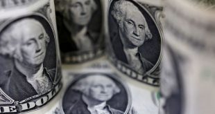 Dollar hits 20-year high as data support aggressive Fed