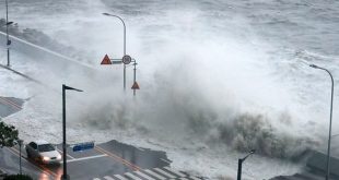 Thousands evacuate as Typhoon Hinnamnor hits S.Korea