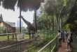 Saigon zoo records triple profit