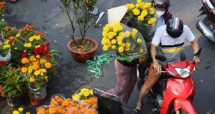 Businesses want Tet holidays to be earlier, longer