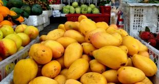 Chinese fruit inundate Vietnam