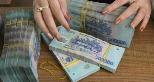 Tan Viet Securities' profit plunges 50%