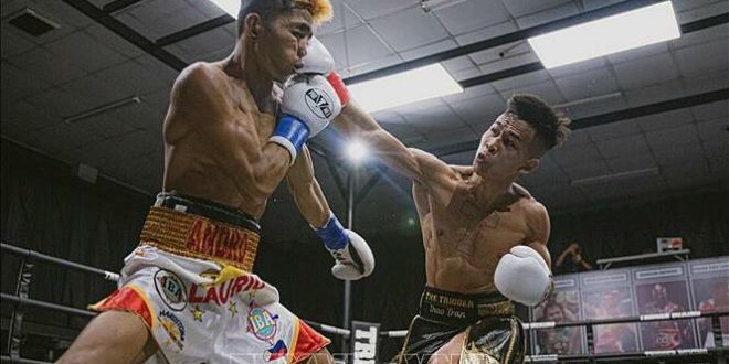 Vietnamese boxer knocks out Filipino rival to claim world championship
