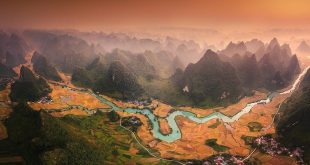 Vietnam ripened rice fields photo wins Epson gold