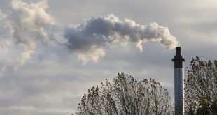 World's biggest private firms lag listed peers in setting emissions targets: study