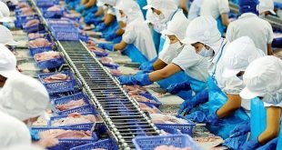 Seafood processor sees revenues, profits slump