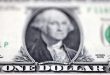 Dollar clings to gains as bets on further Fed hikes firm