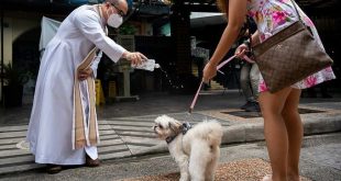 Pet weddings highlight animal blessing ceremony in the Philippines