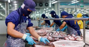 Tra fish exports to ASEAN rise by 83%