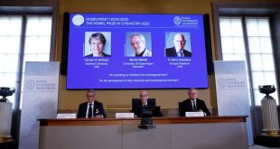 Nobel prize goes to pioneers of molecule-building 'click chemistry'