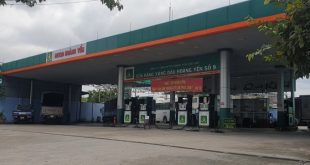 Mekong Delta gas stations ask to shut down on losses