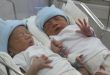 IVF to beget twins becoming popular