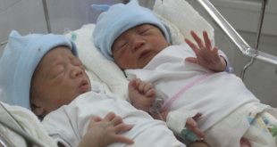 IVF to beget twins becoming popular