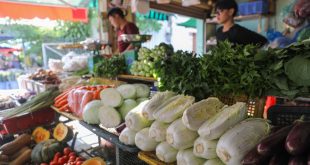 HCMC collects $392,000 in food safety fines in first 9 months