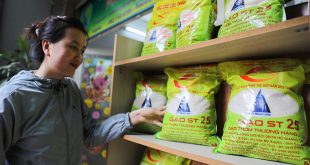 Vietnamese rice prices surpass Thailand’s in global markets