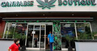 APEC host Thailand's budding marijuana industry faces backlash