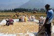 Low-quality rice imports to be restricted