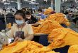 Canada imports 50% more Vietnamese garments, seafood