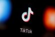 TikTok ban for US government phones advances, threatening its ad revenue, experts say