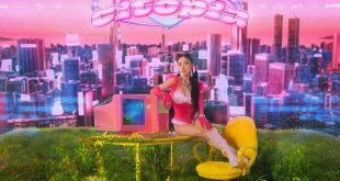 Japanese newspaper lauds V-pop star’s new album