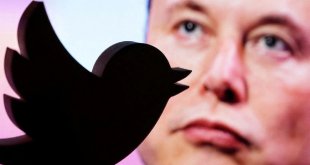 Elon Musk launches poll asking if he should quit as Twitter CEO