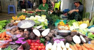 Food, beverage prices soar ahead of Tet