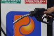 Environmental tax on gasoline halved