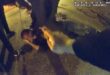 Video shows Memphis police officers kicking, beating Tyre Nichols