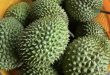 Vietnam reaps new fruit export benefits