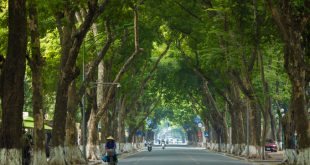 Hanoi among world's 25 most popular tourist destinations in 2023: Tripadvisor