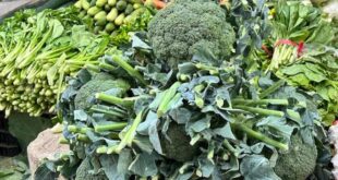 Vegetable prices soar along with demand after Tet holidays