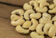 Vietnam spends $1B on Cambodian cashews