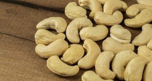 Vietnam spends $1B on Cambodian cashews